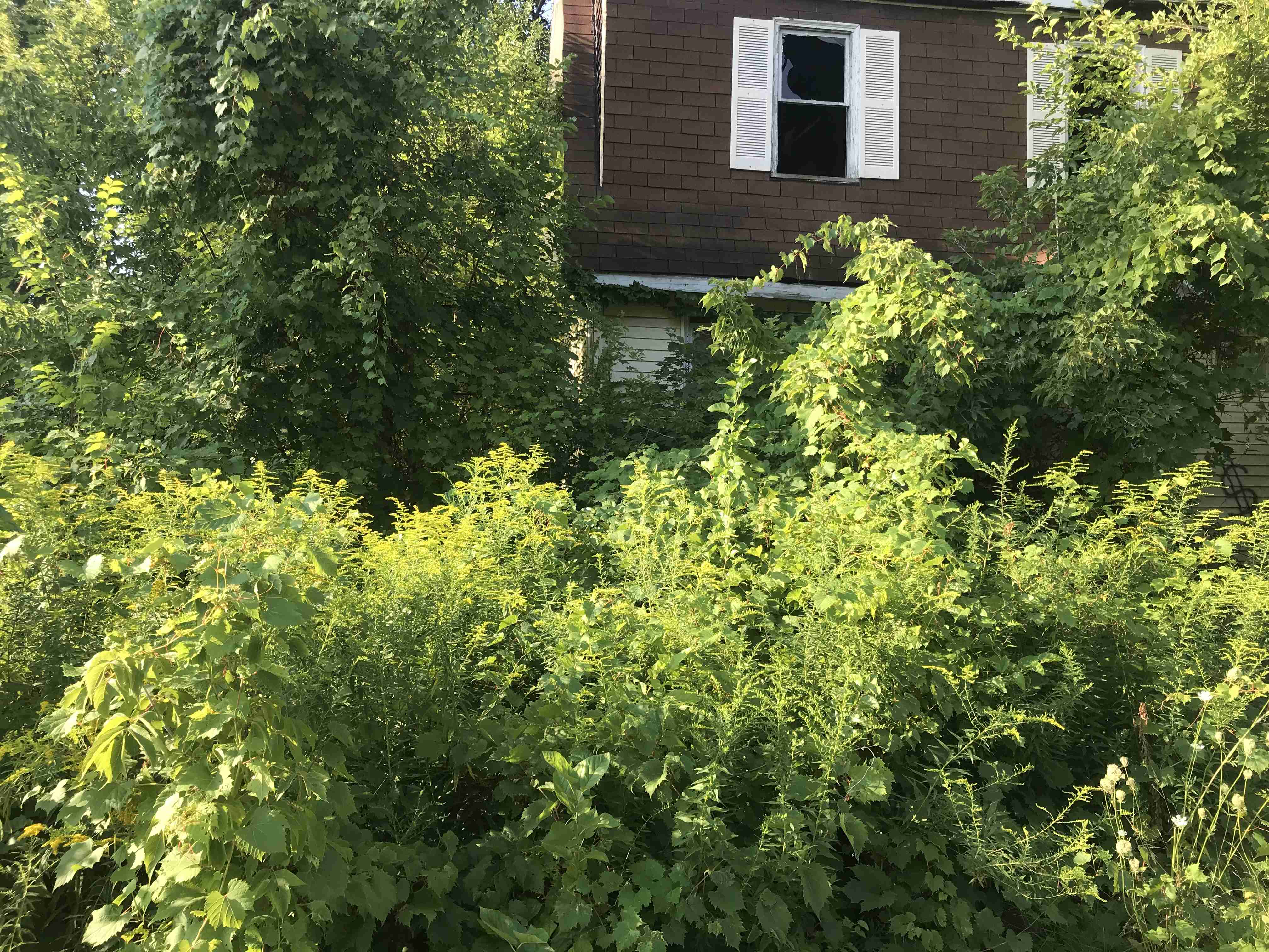 Photo Aug 24, 9 15 30 AM.jpg